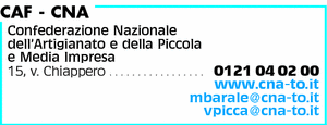 Visualizza Inserzione