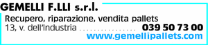 Visualizza Inserzione