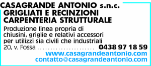 Visualizza Inserzione