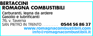 Visualizza Inserzione