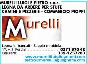Visualizza Inserzione