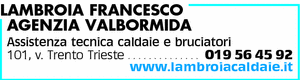 Visualizza Inserzione