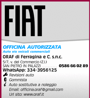 Visualizza Inserzione