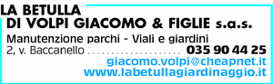 Visualizza Inserzione