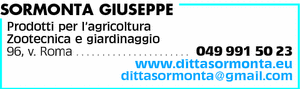 Visualizza Inserzione