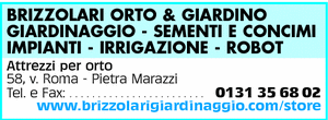 Visualizza Inserzione