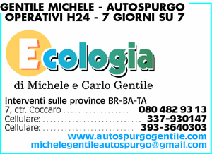 Visualizza Inserzione
