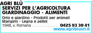 Visualizza Inserzione