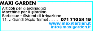 Visualizza Inserzione