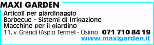 Visualizza Inserzione