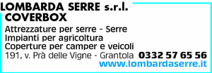 Visualizza Inserzione
