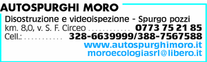 Visualizza Inserzione