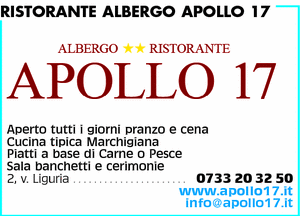 Visualizza Inserzione