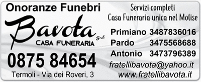 Visualizza Inserzione