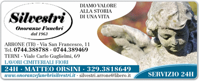 Visualizza Inserzione