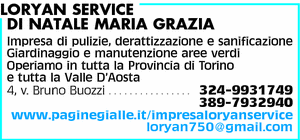 Visualizza Inserzione