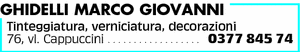 Visualizza Inserzione
