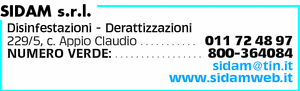 Visualizza Inserzione