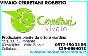 Visualizza Inserzione