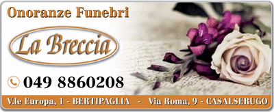 Visualizza Inserzione