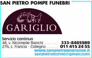 Visualizza Inserzione