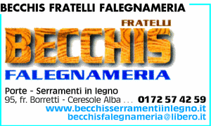 Visualizza Inserzione