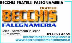 Visualizza Inserzione