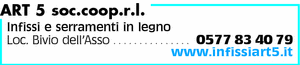 Visualizza Inserzione