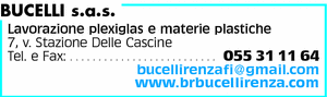 Visualizza Inserzione