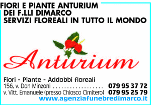 Visualizza Inserzione