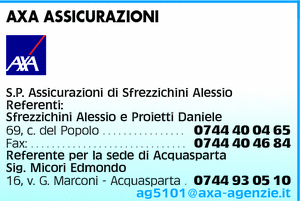 Visualizza Inserzione