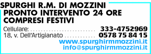 Visualizza Inserzione