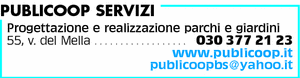 Visualizza Inserzione