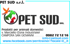 Visualizza Inserzione