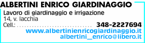 Visualizza Inserzione