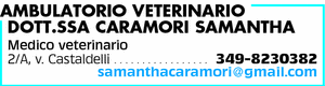 Visualizza Inserzione