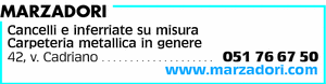 Visualizza Inserzione