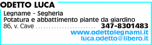 Visualizza Inserzione