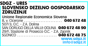 Visualizza Inserzione