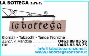 Visualizza Inserzione