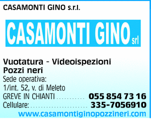 Visualizza Inserzione
