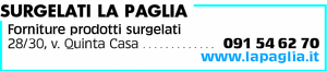 Visualizza Inserzione