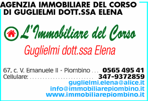 Visualizza Inserzione