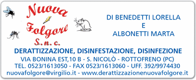 Visualizza Inserzione