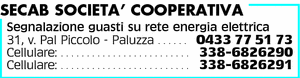 Visualizza Inserzione