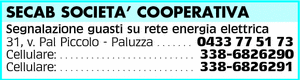 Visualizza Inserzione