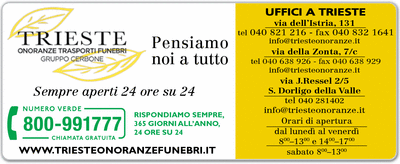 Visualizza Inserzione