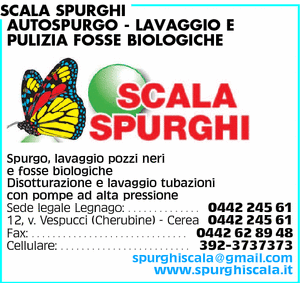 Visualizza Inserzione