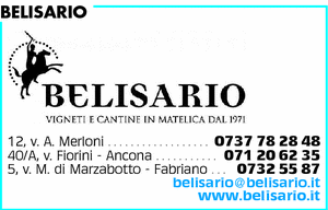 Visualizza Inserzione