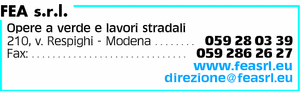 Visualizza Inserzione
